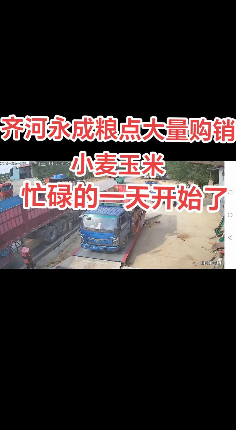 探寻粮食交易新风向：看郴州粮油批发业的发展动态