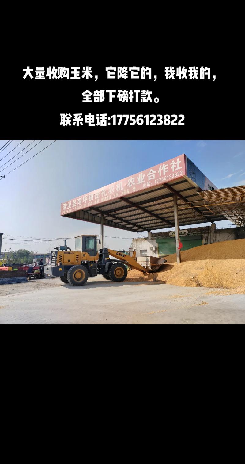 杂粮批发新趋势：市场走向与机遇分析